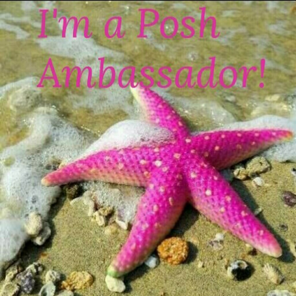 I'm a Posh Ambassador!